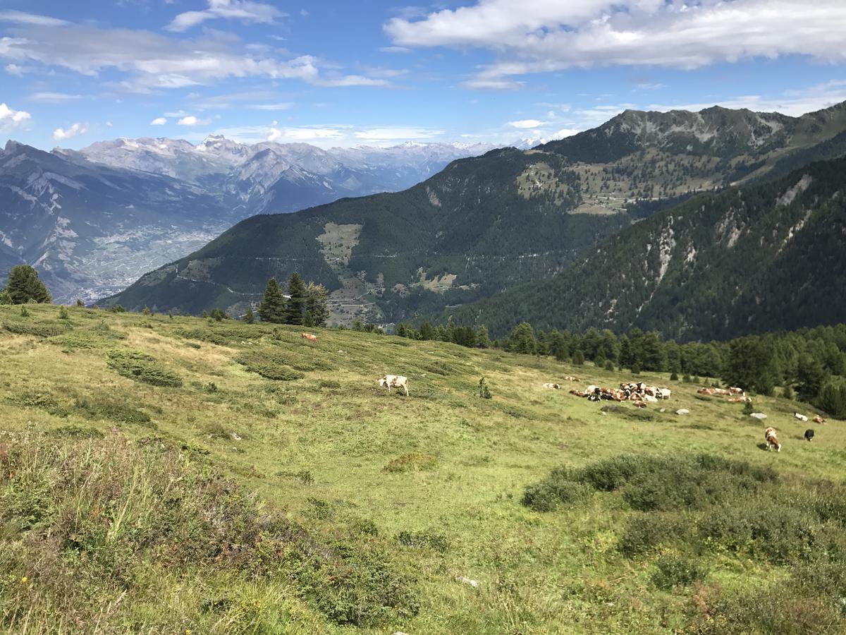 Chalet Clochette 4 Valles-Verbier La Tzoumaz Εξωτερικό φωτογραφία
